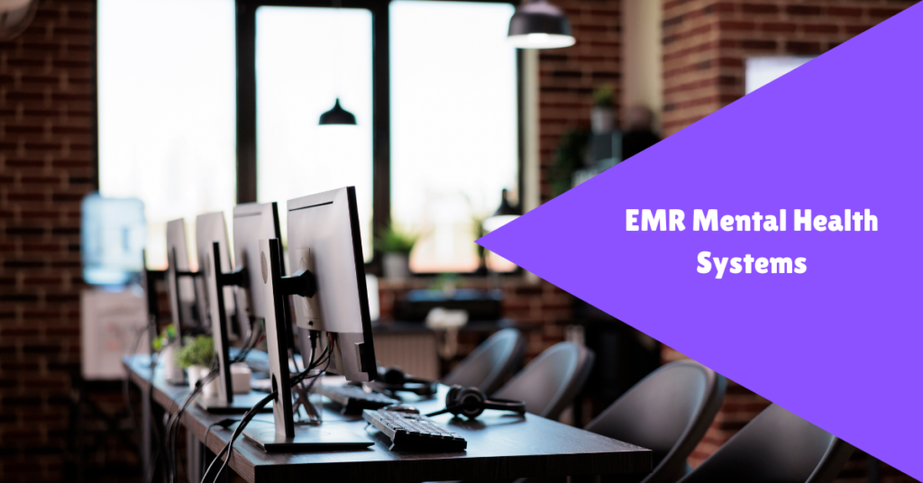 emr mental health systems